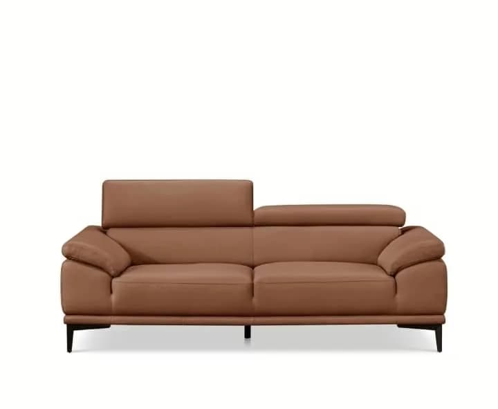 Canape 2 place en cuir Marron